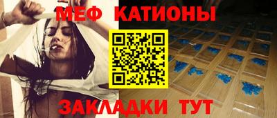 гашик Кингисепп