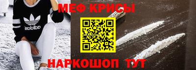 гашик Кингисепп