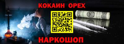 гашик Кингисепп