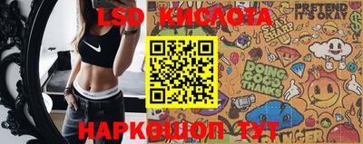 гашик Кингисепп