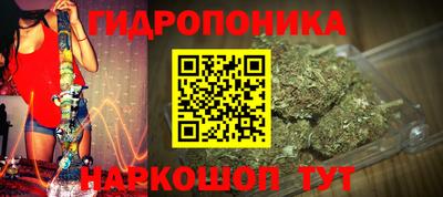 трава Кинель