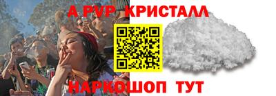 гашик Кингисепп