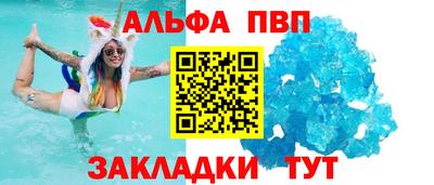 гашик Кингисепп