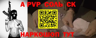 гашик Кингисепп