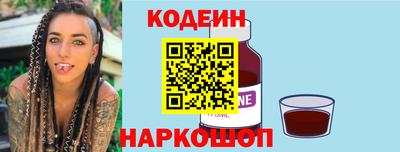 гашик Кингисепп