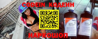 гашик Кингисепп
