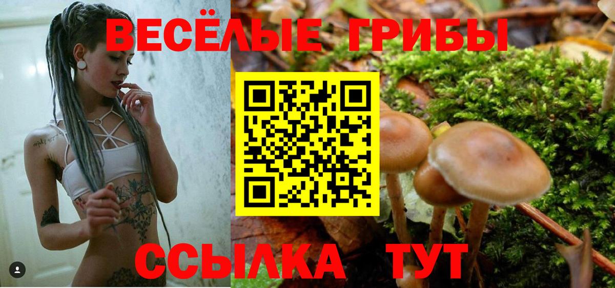 Галлюциногенные грибы Psilocybe  Вход с VPN  Элиста 